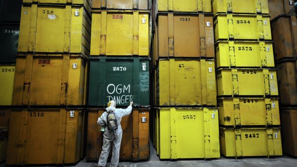 An activist writes GMO danger after anti-GMO activists entered in a production site of US agro-chemicals giant Monsanto to protest against the use of GMO crops and ask for the extension of the moratory on MON810 corn, on January 17, 2014, in Trebes, southern France - Sputnik International