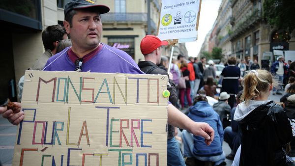 An activist holds a banner that reads 'Monsanto pour la terre c'en est trop' (Monsanto, too much for the earth) at a march against Monsanto, where 'anti-OGM31' cooperative and citizens are protesting against US agriculture and seed giant Monsanto on May 23, 2015, in Toulouse An activist holds a banner that reads 'Monsanto pour la terre c'en est trop' (Monsanto, too much for the earth) at a march against Monsanto, where 'anti-OGM31' cooperative and citizens are protesting against US agriculture and seed giant Monsanto on May 23, 2015, in Toulouse - Sputnik International