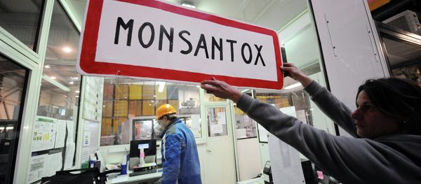 An anti-GMO (genetically-modified crops) activist holds a town entrance roadsign reading Monsantox after anti-GMO activists entered a production site of US agro-chemicals giant Monsanto to protest aganinst the use of GMO crops - Sputnik International