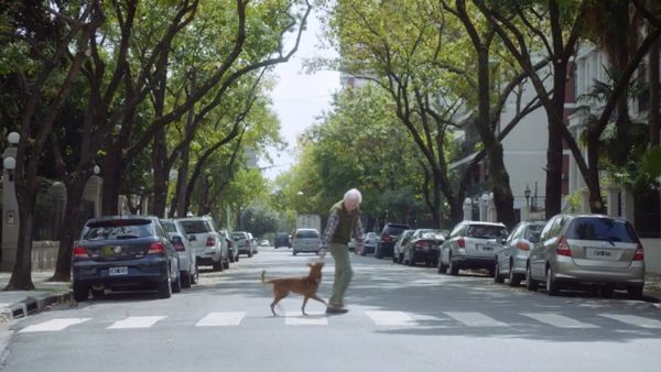 The Man and the Dog - Sputnik International