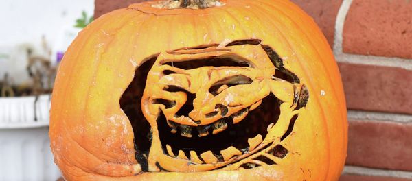 This pumpkin on Scotland Ave. in Chambersburg is carved into a popular internet troll face meme on Wednesday, October 15, 2014 This pumpkin on Scotland Ave. in Chambersburg is carved into a popular internet troll face meme on Wednesday, October 15, 2014 - Sputnik International