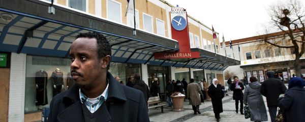 Rinkeby, an largely immigrant suburb on the outskirts of Stockholm (photo used for illustration purpose) Rinkeby, an largely immigrant suburb on the outskirts of Stockholm (photo used for illustration purpose) - Sputnik International
