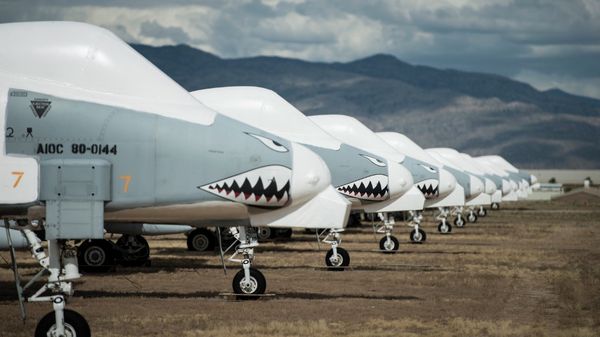 Fairchild Republic A-10 Thunderbolt II aircraft are seen stored in the boneyard at the Aerospace Maintenance and Regeneration Group on Davis-Monthan Air Force Base in Tucson, Arizona. File photo. - Sputnik International