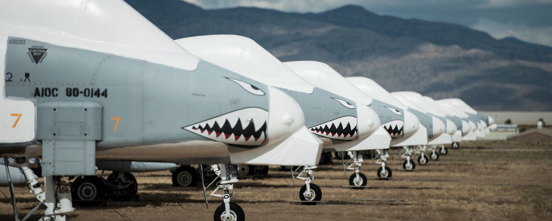 Fairchild Republic A-10 Thunderbolt II aircraft are seen stored in the boneyard at the Aerospace Maintenance and Regeneration Group on Davis-Monthan Air Force Base in Tucson, Arizona. File photo. - Sputnik International, 1920, 25.01.2024