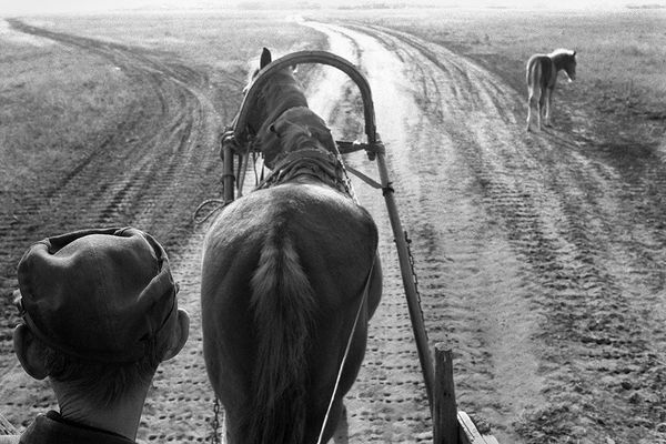 All Corners of Russia in Black and White All Corners of Russia in Black and White - Sputnik International