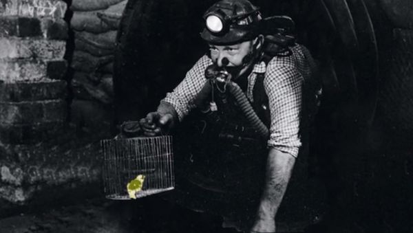 Canary Mission - Sputnik International
