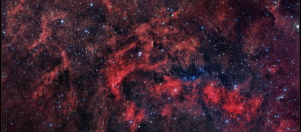 Part of the Gamma Cygni region - Sputnik International