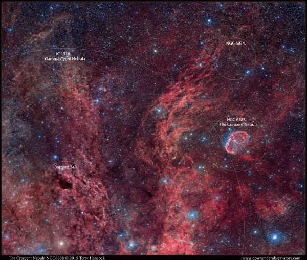 This annotated image by astrophotographer Terry Hancock shows the mesmerizing Gamma Cygni nebula. This annotated image by astrophotographer Terry Hancock shows the mesmerizing Gamma Cygni nebula. - Sputnik International
