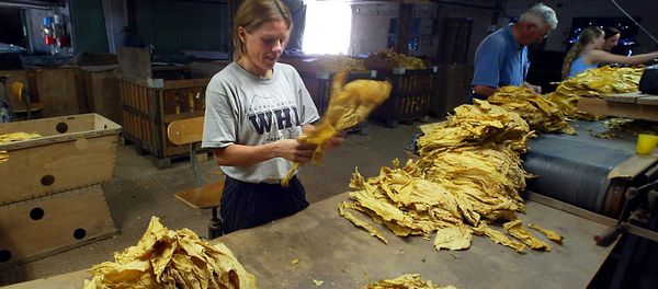 EU Deal With Tobacco Industry Becoming a Smokescreen - Sputnik International