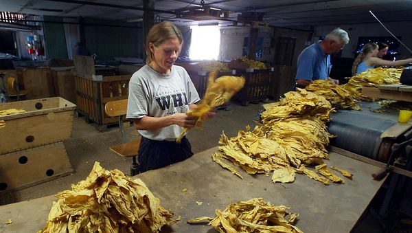 EU Deal With Tobacco Industry Becoming a Smokescreen - Sputnik International