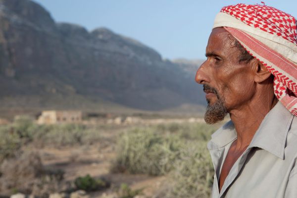 Yemen Photography - Sputnik International