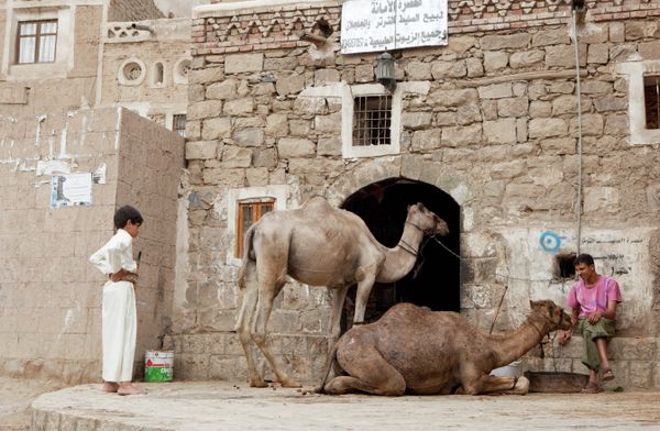 Yemen Photography - Sputnik International