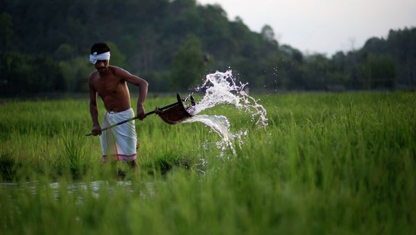 Indian farmer Moneswar Kathar irrigates his paddy field at Khetri village about 40 kilometers (25 miles) east of Gauhati, India, Wednesday, April 22, 2015 - Sputnik International