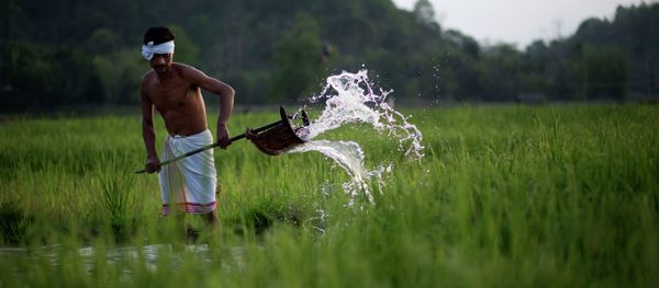 Indian farmer Moneswar Kathar irrigates his paddy field at Khetri village about 40 kilometers (25 miles) east of Gauhati, India, Wednesday, April 22, 2015 Indian farmer Moneswar Kathar irrigates his paddy field at Khetri village about 40 kilometers (25 miles) east of Gauhati, India, Wednesday, April 22, 2015 - Sputnik International
