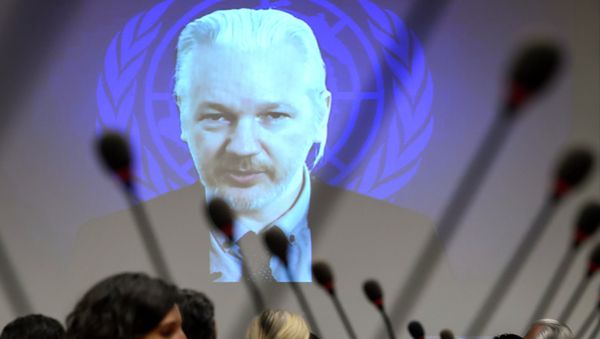 WikiLeaks founder Julian Assange is seen on a screen speaking via web cast from the Ecuadorian Embassy in London during an event on the sideline of the United Nations (UN) Human Rights Council session WikiLeaks founder Julian Assange is seen on a screen speaking via web cast from the Ecuadorian Embassy in London during an event on the sideline of the United Nations (UN) Human Rights Council session - Sputnik International