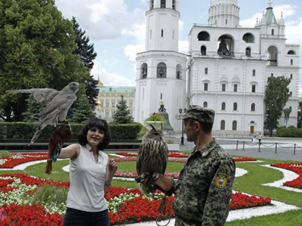 Filya the eagle-owl and one of the Kremlin's falcons. - Sputnik International