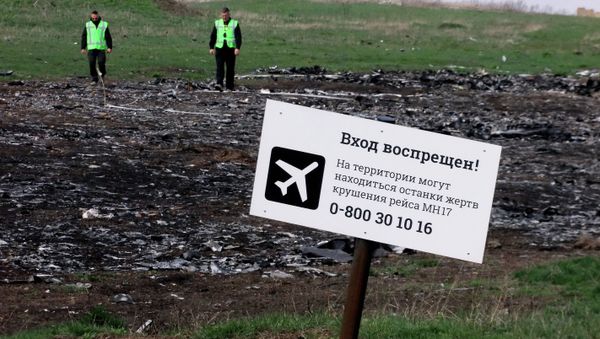 Dutch and Malaysian experts visit site of Malaysia Airlines flight MH17 plane crash - Sputnik International