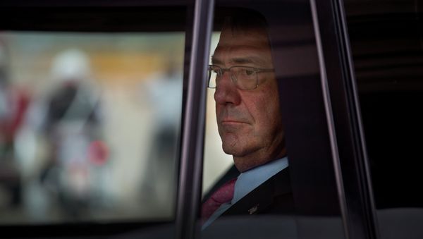 U.S. Defense Secretary Ashton Carter - Sputnik International