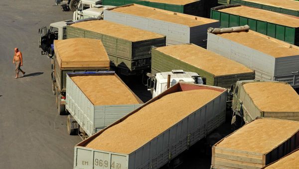 Grain terminal in the port of Novorossiysk - Sputnik International