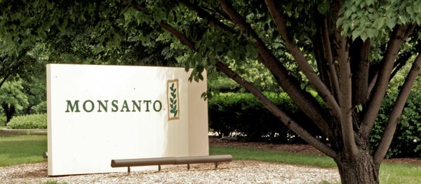 A complex merger designed to lower their tax payments could see US agrochemical giant Monsanto merge with its Swiss rival, Syngenta, to create an entity based in the UK. - Sputnik International