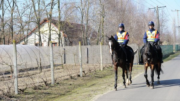 Mounted police officers patrol in the vicinity of Morahalom, 179 kms southeast of Budapest, Hungary, next to the Serbian border Mounted police officers patrol in the vicinity of Morahalom, 179 kms southeast of Budapest, Hungary, next to the Serbian border - Sputnik International