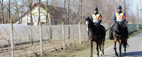 Mounted police officers patrol in the vicinity of Morahalom, 179 kms southeast of Budapest, Hungary, next to the Serbian border Mounted police officers patrol in the vicinity of Morahalom, 179 kms southeast of Budapest, Hungary, next to the Serbian border - Sputnik International