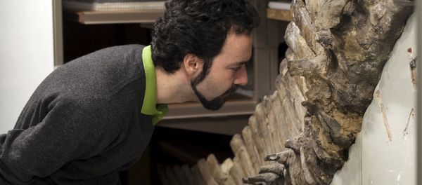 Sergio Bertazzo, a biomedical physical scientist at Imperial College in London, examines a fossil at Natural History Museum in London in this undated handout photo provided by Laurent Mekul, June 9, 2015 Sergio Bertazzo, a biomedical physical scientist at Imperial College in London, examines a fossil at Natural History Museum in London in this undated handout photo provided by Laurent Mekul, June 9, 2015 - Sputnik International