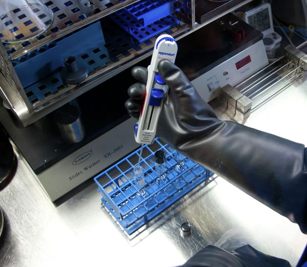 Scientists Devise Top-Notch 'Hybrid' Sensors That Will Revolutionise Chemical Plants Scientists Devise Top-Notch 'Hybrid' Sensors That Will Revolutionise Chemical Plants - Sputnik International