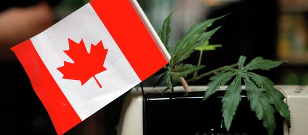 Canada’s Supreme Court Rules Medical Marijuana Legal in All Forms Canada’s Supreme Court Rules Medical Marijuana Legal in All Forms - Sputnik International
