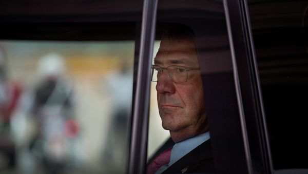 US Defense Secretary Ashton Carter US Defense Secretary Ashton Carter - Sputnik International