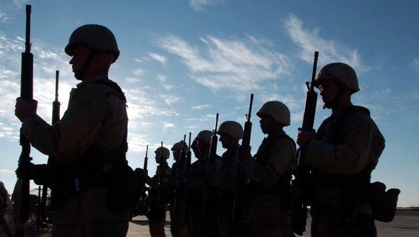A comprehensive 1,176-page Military Manual covering the Law of War was published on Friday, the US Department of Defense announced in a statement - Sputnik International
