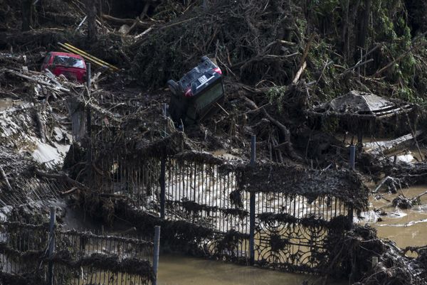 The Tragedy of Flooded Tbilisi Zoo - Sputnik International