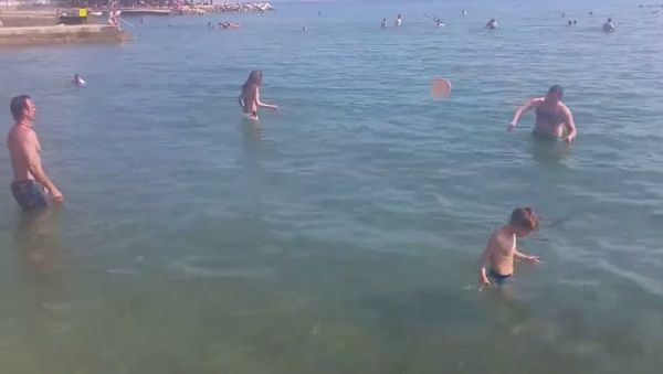 Bosnian guys playing Frisbee - Sputnik International