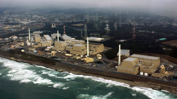 This aerial view, taken on February 2005, shows Chubu Electric Power's Hamaoka nuclear power plant at Omaezaki city in Shizuoka prefecture, 200km west of Tokyo This aerial view, taken on February 2005, shows Chubu Electric Power's Hamaoka nuclear power plant at Omaezaki city in Shizuoka prefecture, 200km west of Tokyo - Sputnik International