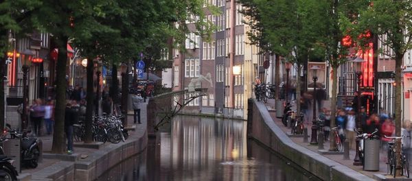 A rendering shows the future pedestrian bridge across an Amsterdam canal being 3-D printed by on-site robots - Sputnik International