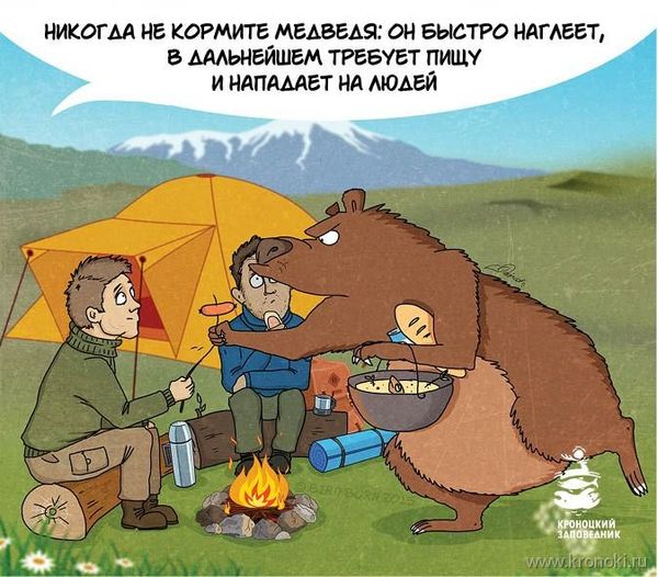 Bear comics - Sputnik International