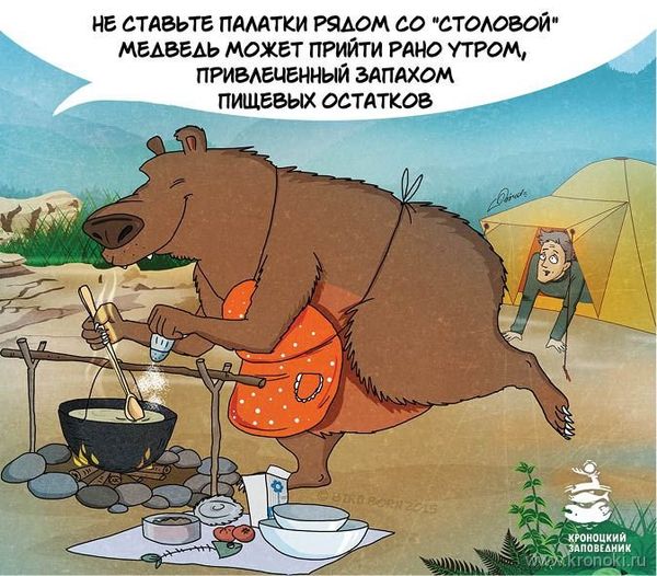 Bear comics - Sputnik International