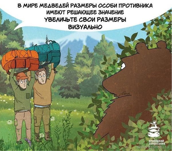 Bear comics - Sputnik International