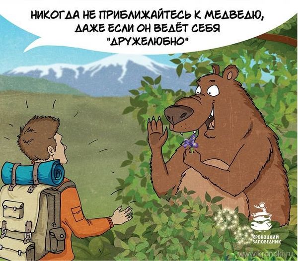Bear comics - Sputnik International