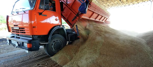 Grain harvesting in the Rostov region Grain harvesting in the Rostov region - Sputnik International