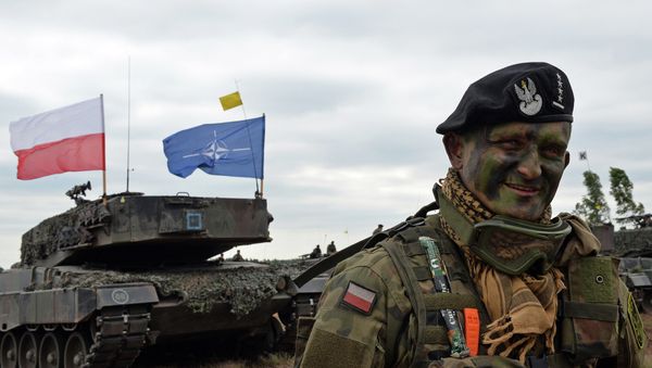 Polish tank comander smiles after a NATO Response Force (NRF) exercise in Zagan, southwest Poland on June 18, 2015 Polish tank comander smiles after a NATO Response Force (NRF) exercise in Zagan, southwest Poland on June 18, 2015 - Sputnik International