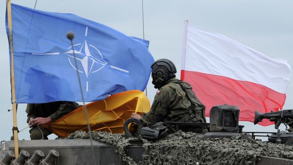 Polish Army soldiers check their tank after the NATO Noble Jump exercise on a training range near Swietoszow Zagan, Poland, Thursday, June 18, 2015 - Sputnik International