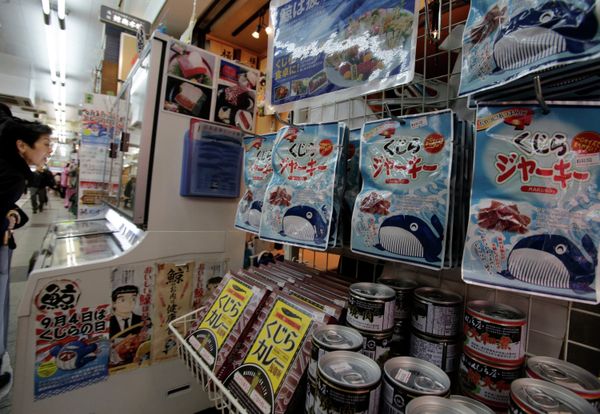 Packs of whale meat to be sold hang at a whale meat specialty store at Tokyo's Ameyoko shopping district.  - Sputnik International