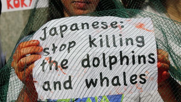 An activist of the environmental group 'Gaia' holds a poster during a protest outside the Japanese chamber of commerce in Milan, Italy. - Sputnik International