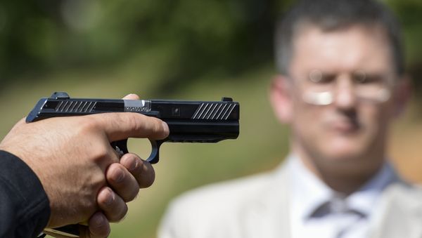 PL-14 Pistol - Sputnik International