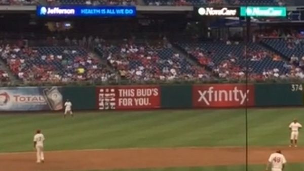 Squirrel at Phillies Game - Sputnik International