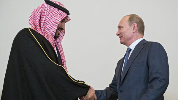 Russian President Vladimir Putin's working trip to St. Petersburg - Sputnik International
