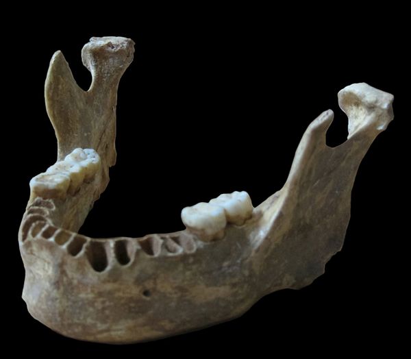 A jawbone unearthed in Romania of a man who lived about 40,000 years ago is shown in this handout photo provided by Max Planck Institute for Evolutionary Anthropology in Leipzig, Germany June 21, 2015 A jawbone unearthed in Romania of a man who lived about 40,000 years ago is shown in this handout photo provided by Max Planck Institute for Evolutionary Anthropology in Leipzig, Germany June 21, 2015 - Sputnik International