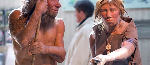 The prehistoric Neanderthal man N, left, is visited for the first time by another reconstruction of a homo neanderthalensis called Wilma, right, at the Neanderthal museum in Mettmann, Germany, Friday, March 20, 2009 The prehistoric Neanderthal man N, left, is visited for the first time by another reconstruction of a homo neanderthalensis called Wilma, right, at the Neanderthal museum in Mettmann, Germany, Friday, March 20, 2009 - Sputnik International