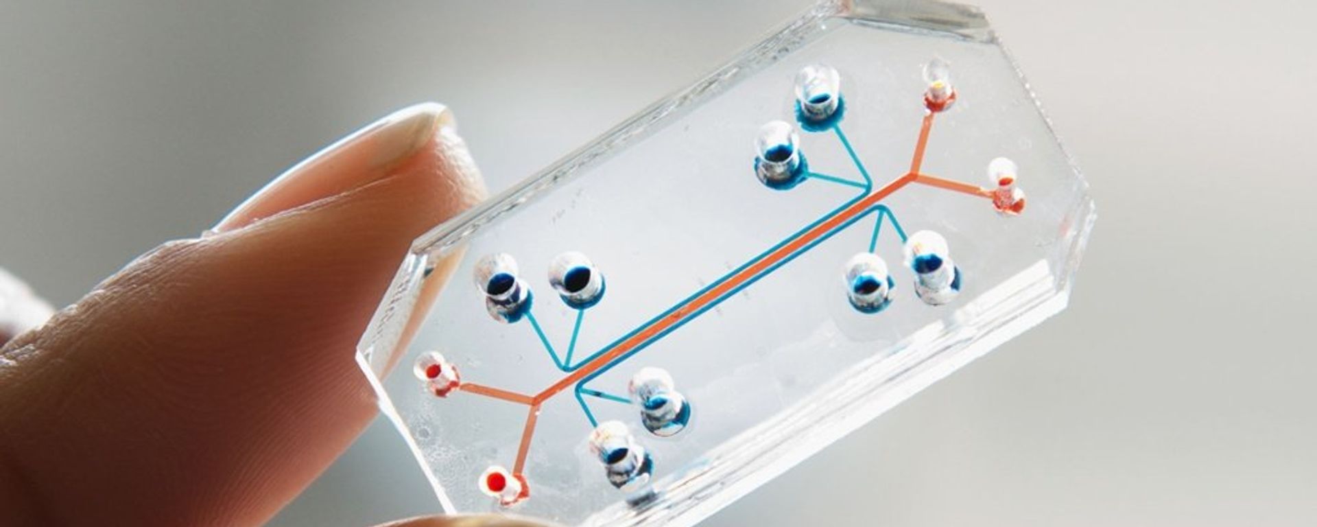 On May 26, 2023, Chinese Commerce Minister Wang Wentao announced a consensus between Beijing and Seoul on semiconductor industry - Sputnik International, 1920, 27.05.2023